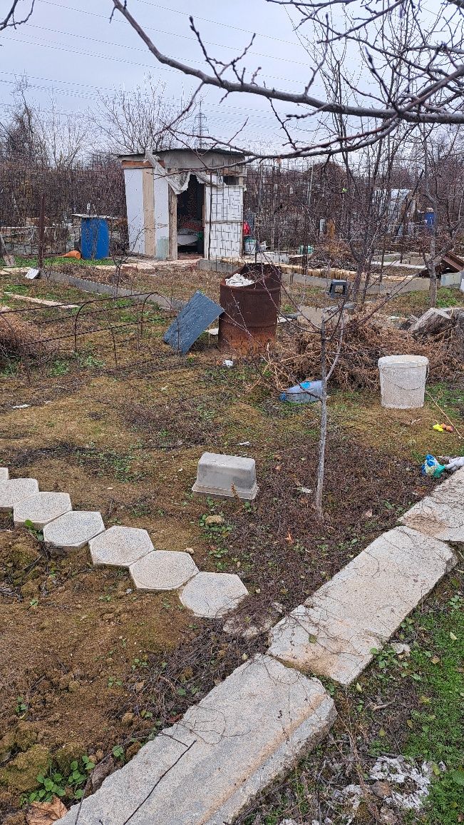 Огород в Родничке-1