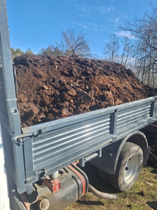 Balegar vaca /oaie putred