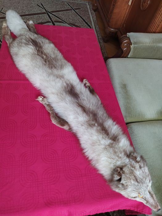 Яка от цяла сребърна лисица