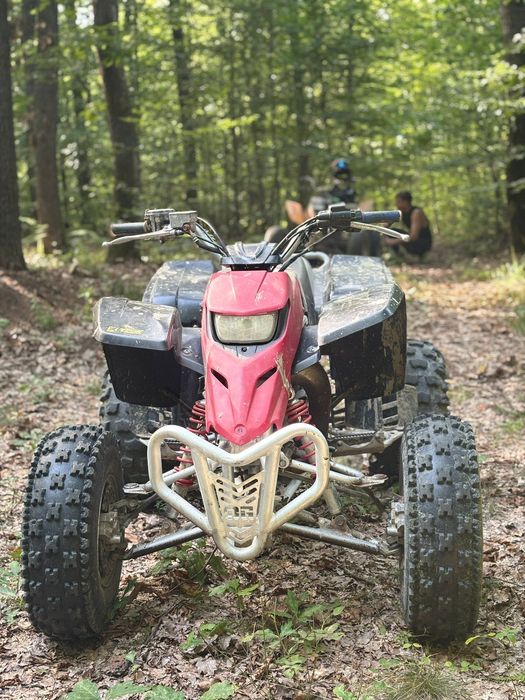 Yamaha Blaster 2003 powervalve
