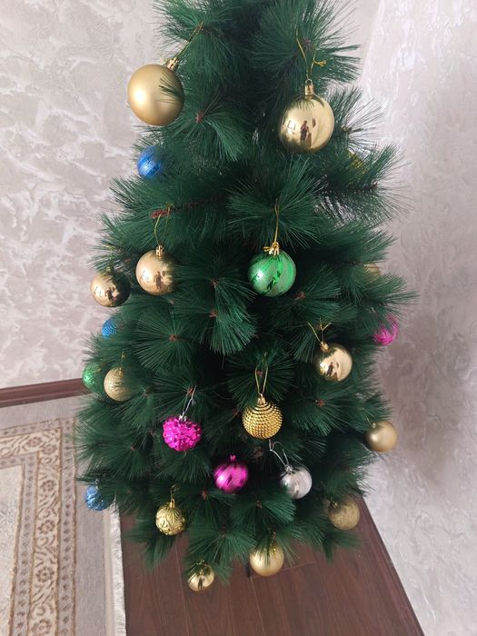 Суний ёлка 1.50м сотилади!