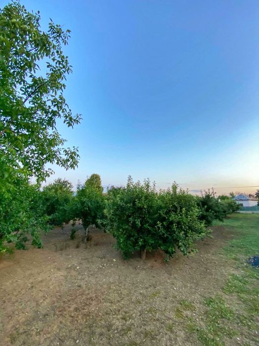 Conac boieresc cu teren de 2300mp  - situat în satul Merii-zona Găești