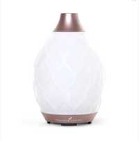 Difuzor de arome Desert Mist Diffuser Young Living