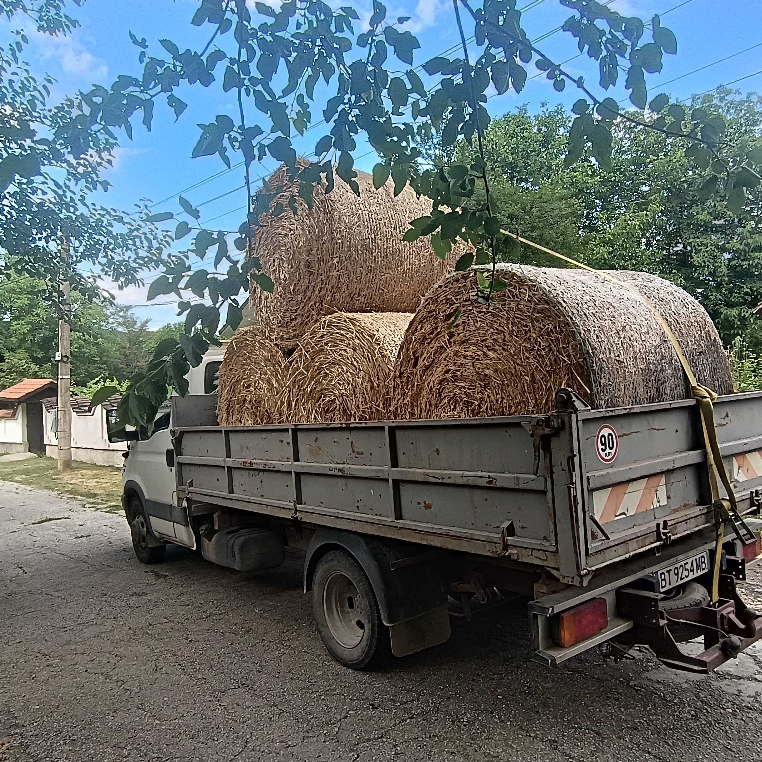 Бали слама големи