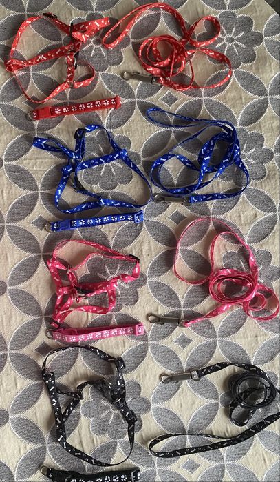 Наборы шлейка+поводок + ошейник для кошек и собак.
