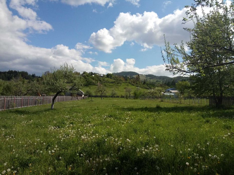 Teren intravilan la munte, in Nereju, Vrancea
