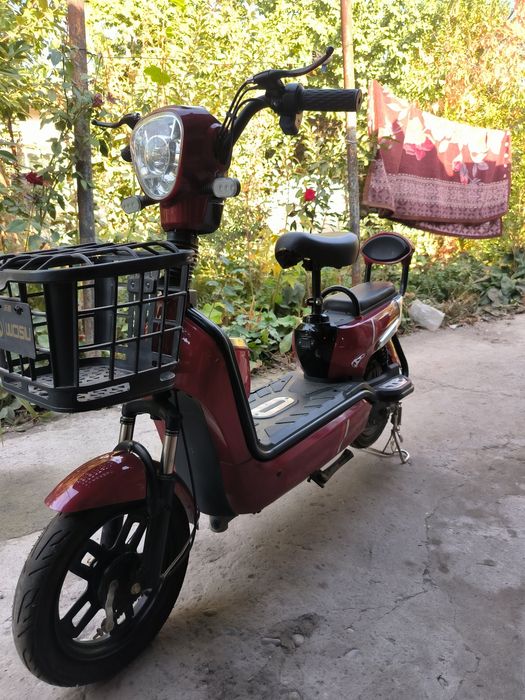 Skuter sotilad  pacti yengi