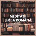 Meditații Limba Română – Evaluarea Națională, Bacalaureat