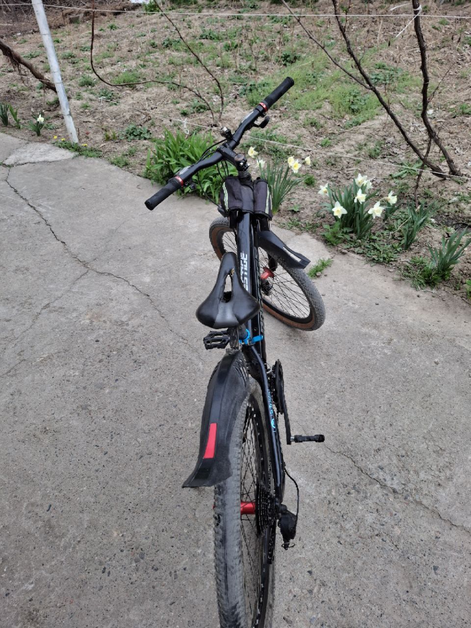 Velosapet holati yengiday