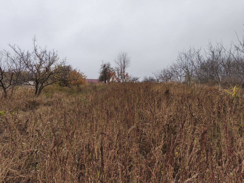 Teren intravilan 2517 mp la 29 km de Iasi,drum asfaltat