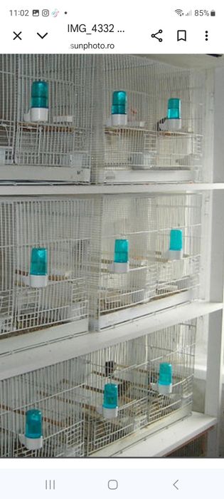 Vând colivii pasari