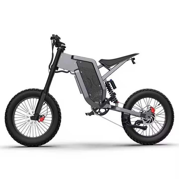 Електрически кросов мотор, EKX X21 ,2000W, 35AH/48V