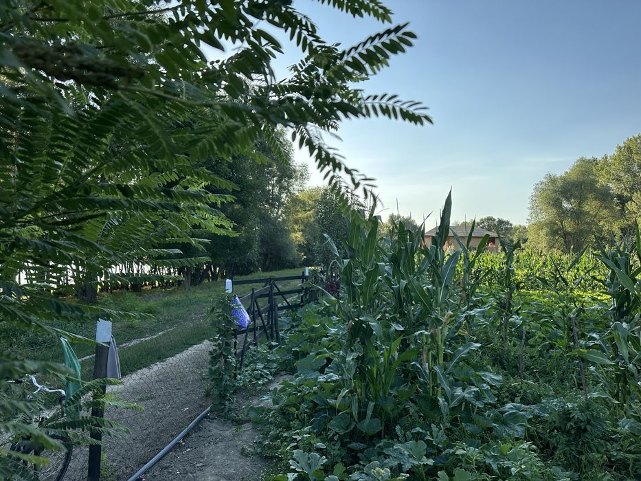 Teren intravilan pe malul dunarii 816mp*2