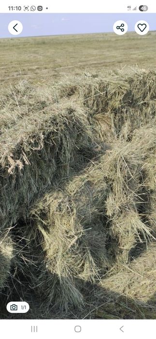 Продам сено в такая.1 так 900 есть скидка.