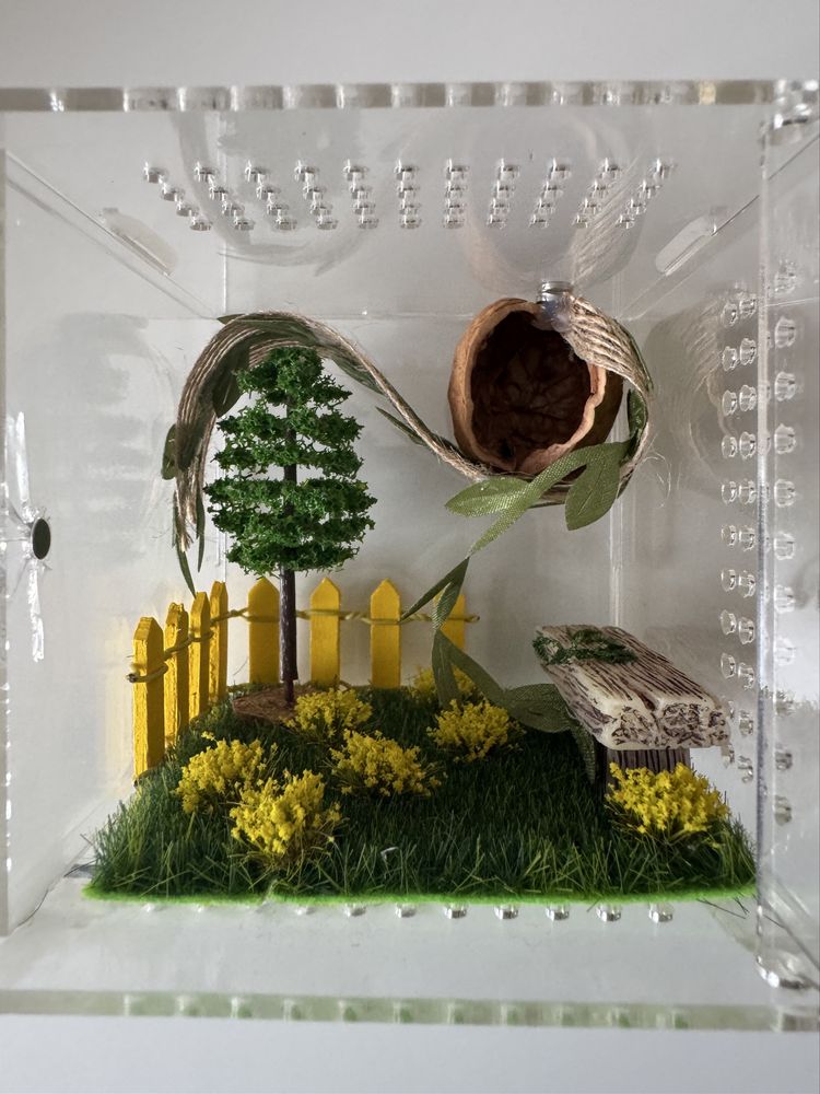 Small enclosure for insects or small reptile