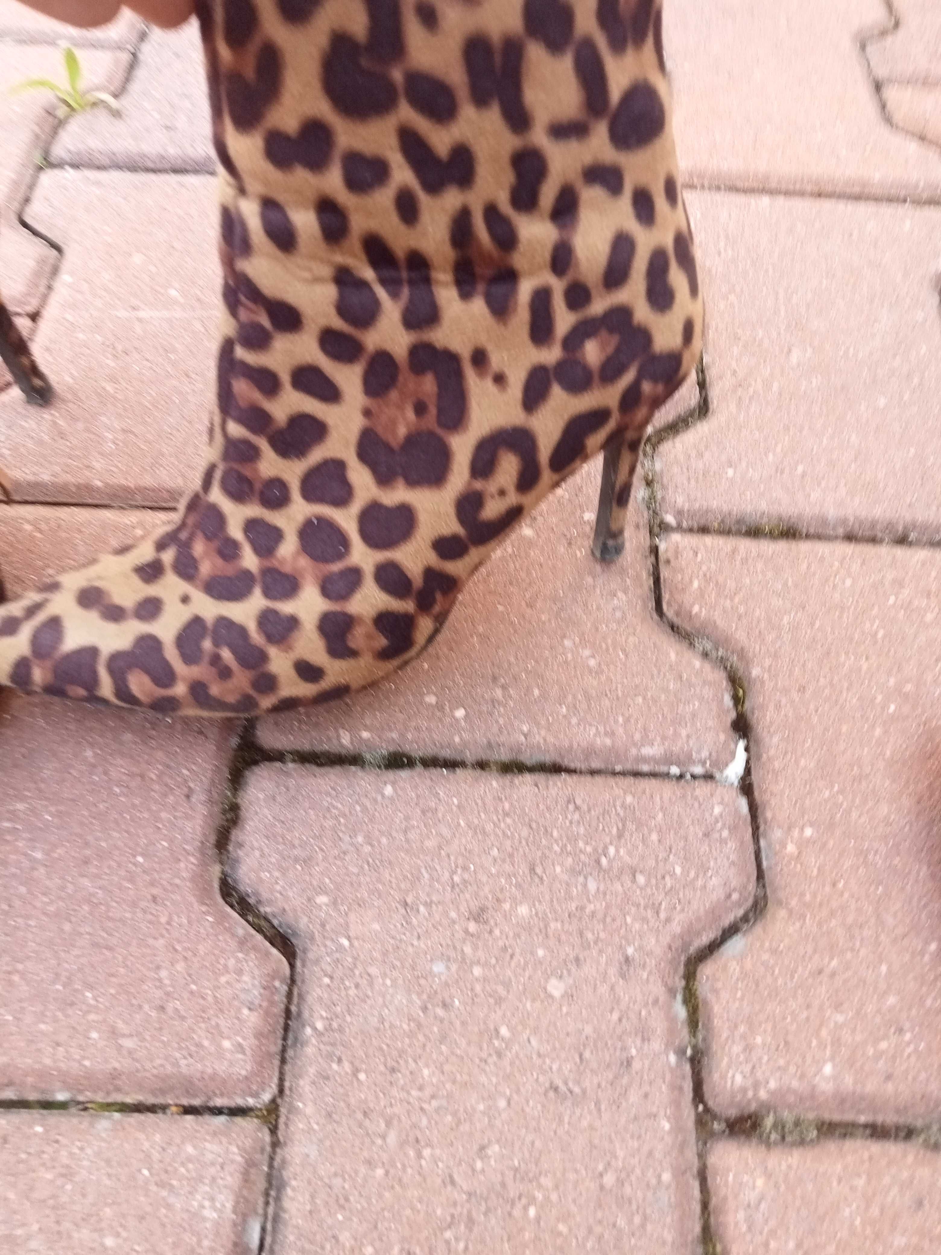 Botine 36 animal print