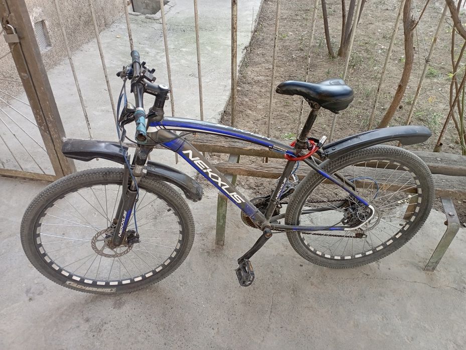 Velosiped Neksus