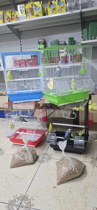 Попугай комбо комплект