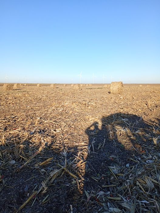 Baloți rotunzi de ciocani