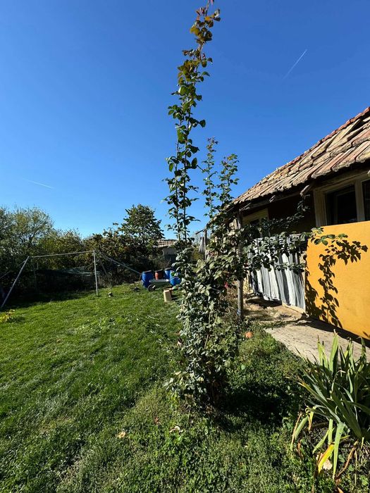 Продава се Къща в с. Пресиян, Област Търговище - 100 кв.м за 266 €/кв.м - Снимка #13