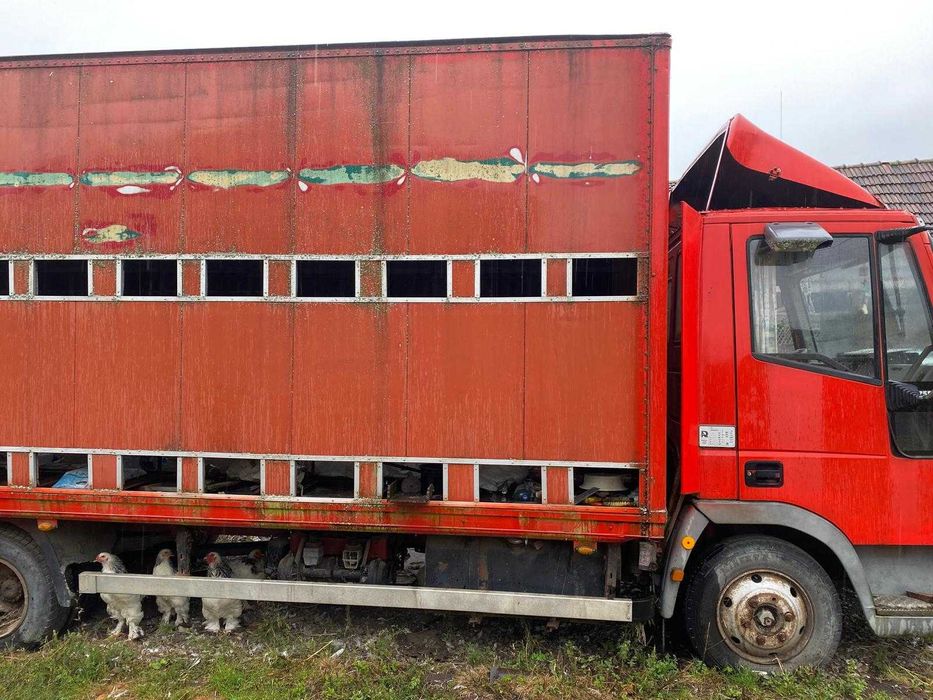 Iveco Euro Cargo 7,5 T Pentru Stupi