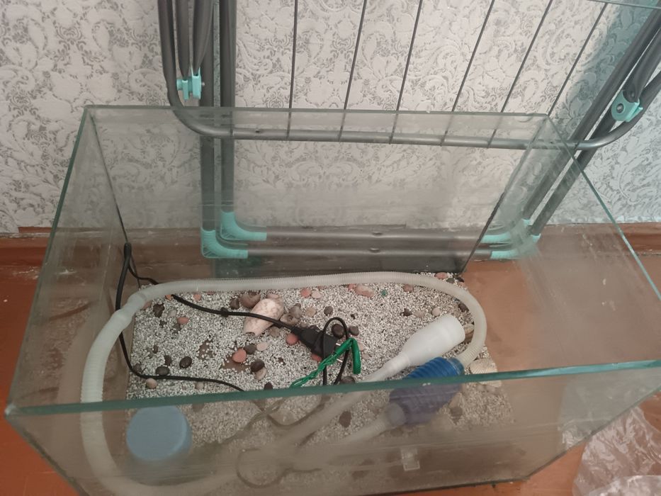 Аквариум без рыбок