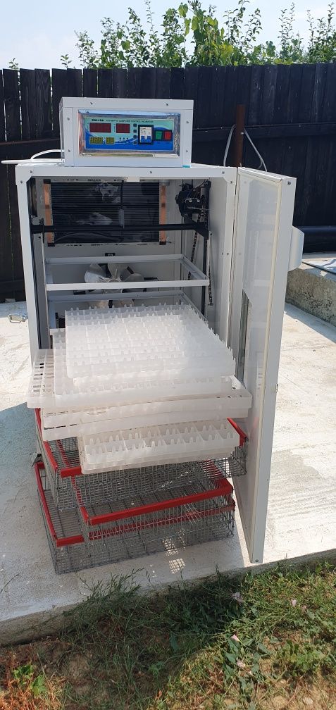 Incubator profesional