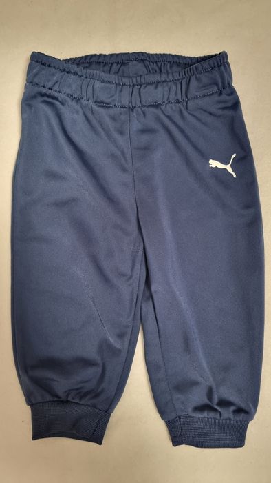 Trening Puma bebeluși