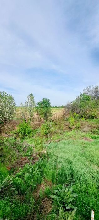 Дача 8 соток Навбахор. 20-км от Ташкента Паркент Янгибазар Джумабазар