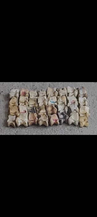 Асық ұлттық ойын Асық Асык Asik асык асик