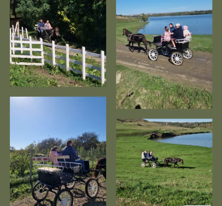 Trasura usoara caleasca