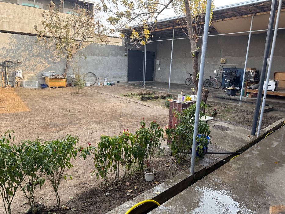 Арча кучада уй сотилади