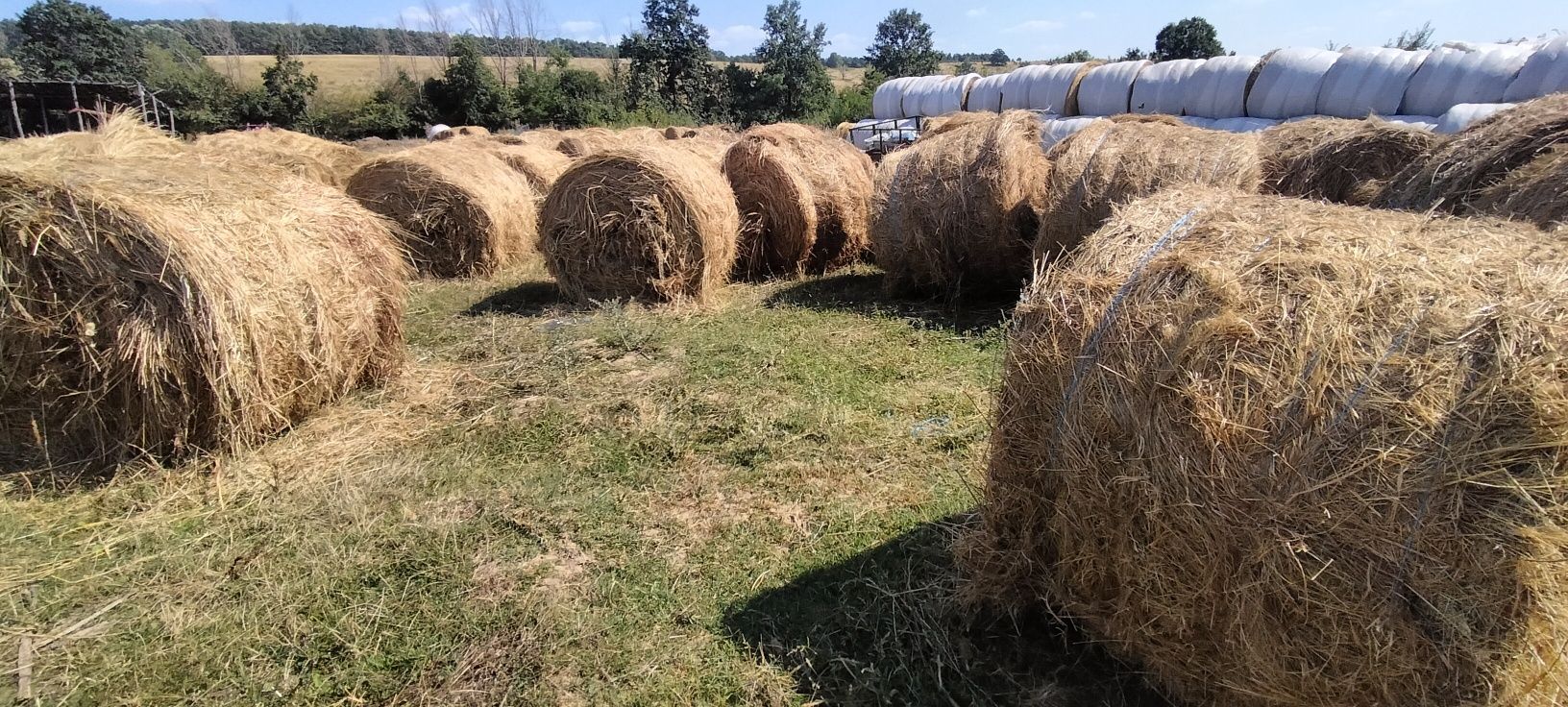 Vând baloți 120/160