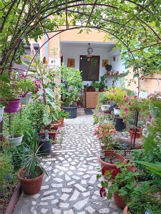 Cameră casa, zona Lidl calea București.