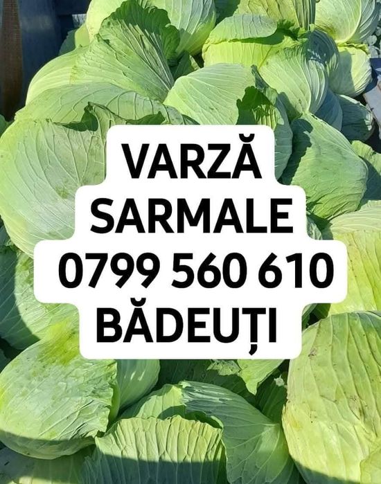 Varză pentru sarmale
