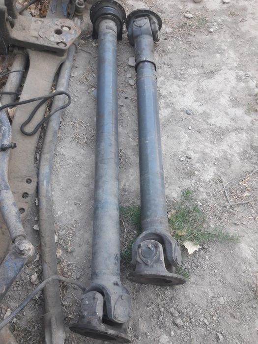 Кардон на волва паравоз