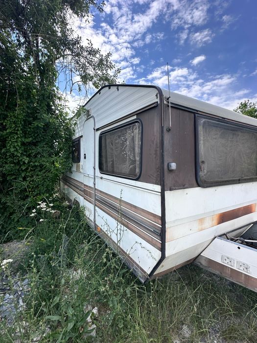 Vand Rulota inmatriculata