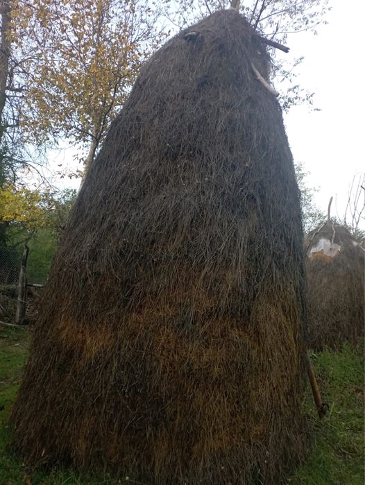 Fân de vânzare de anul acesta