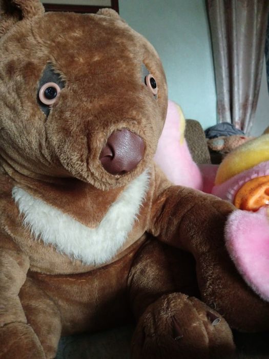 Большой  медведь