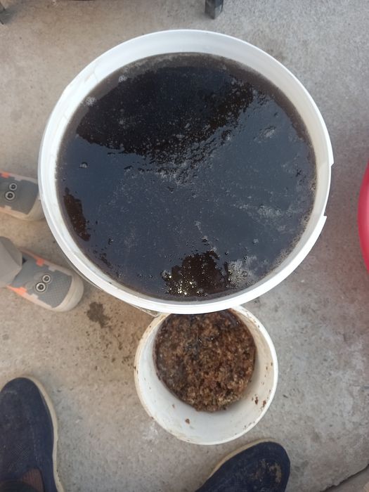 Tabiiy usulda xar xil gul, o‘simliklardan olingan asallar mavjud