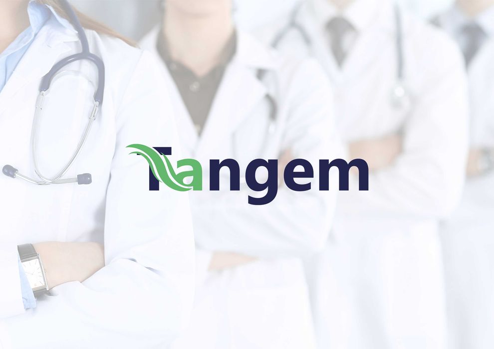 логотип logotip brend book