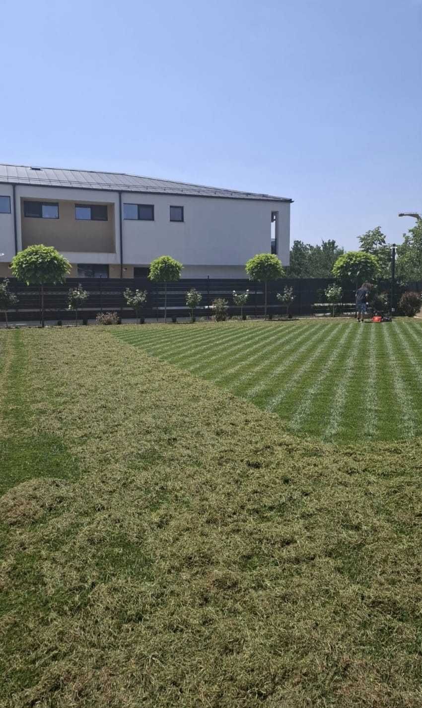 Întreținere grădini, gazon, plante, arbori, piscine - Inginer horticol