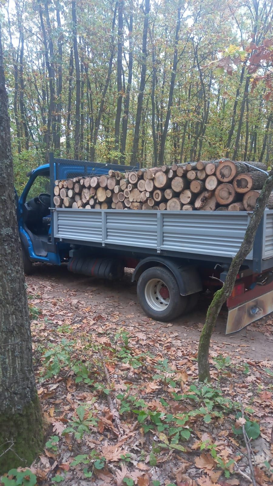 Vând lemn de foc 2500