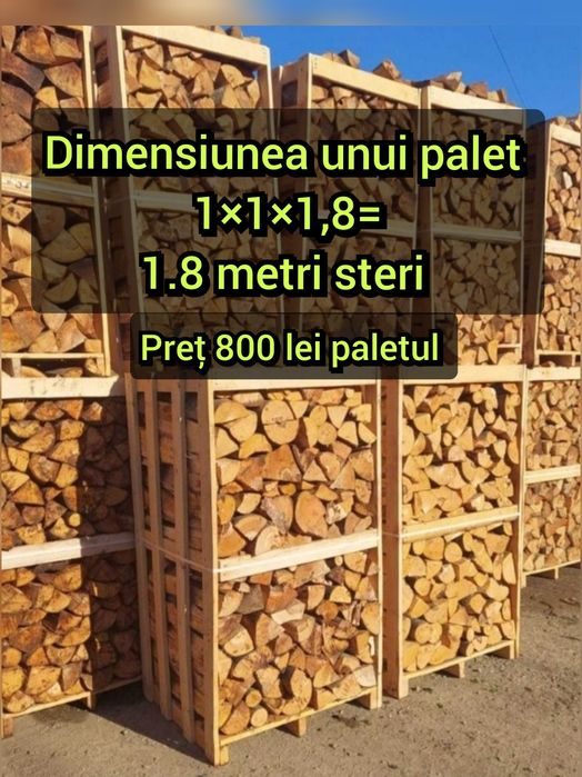 Lemne de foc din esență tare fag cer