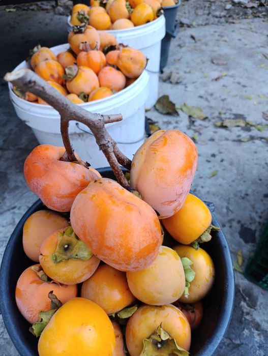 Плодове райски ябълки.