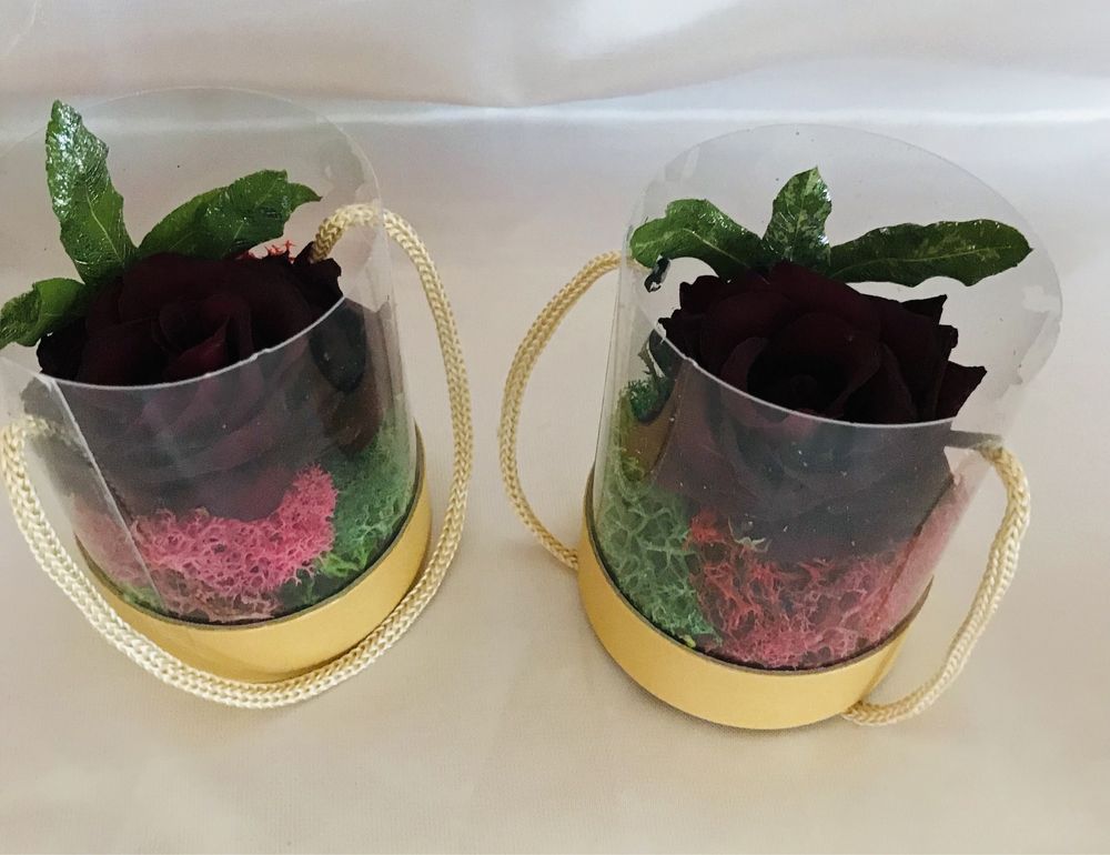 Trandafiri criogenati in cupole de plastic