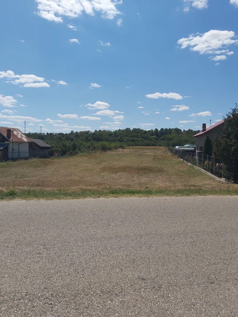 Vând teren intravilan Albota -Mares