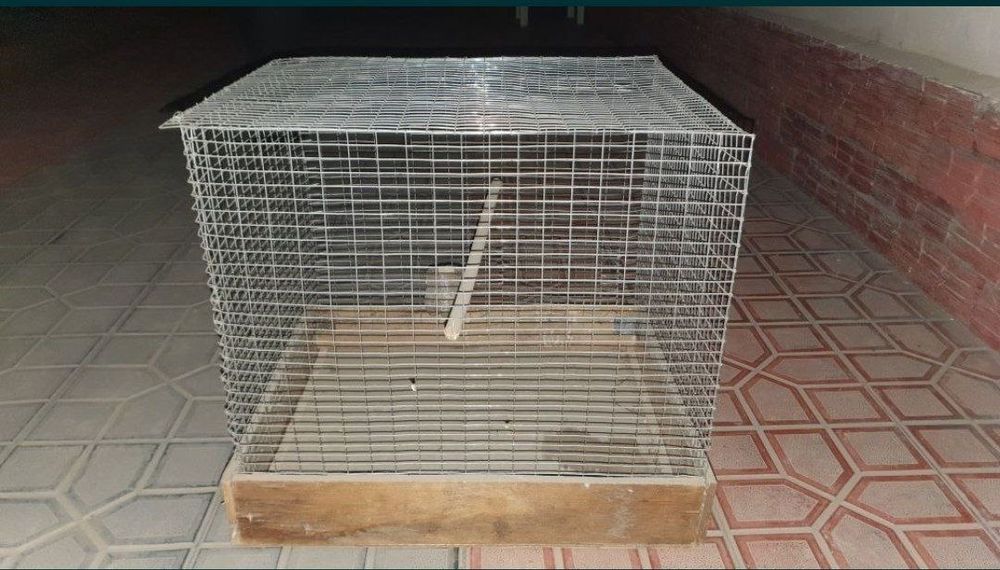 Qush qafasi sotiladi