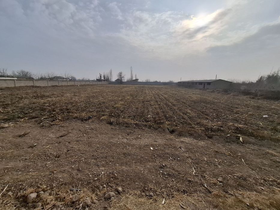 Продам участок 60 соток