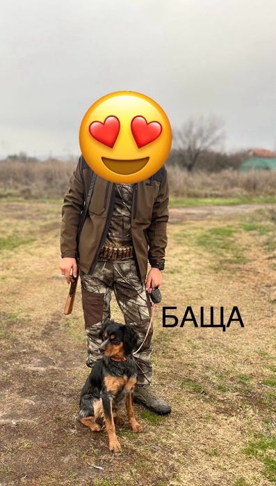 ПОДАРЯВАМ  малки кученца Епаньол Бретон